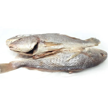 Croaker Fish - 2.5Kg