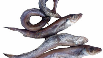 Fresh Panla whitening fish