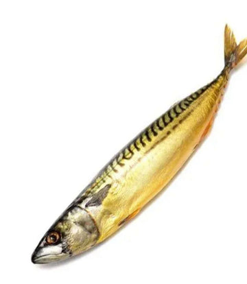 Smoked Mackerel 1pc