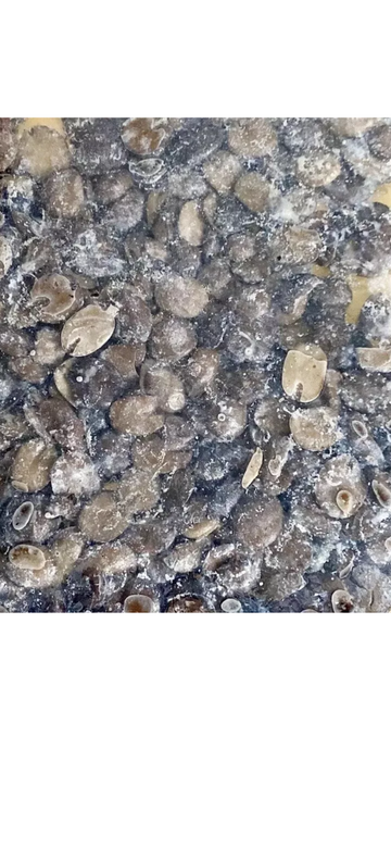 Fresh Iru(Locust Bean) - 80g.